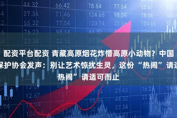 配资平台配资 青藏高原烟花炸懵高原小动物？中国小动物保护协会发声：别让艺术惊扰生灵，这份 “热闹” 请适可而止
